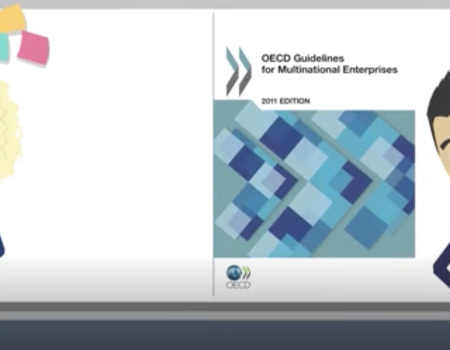 THE OECD GUIDELINES FOR MULTINATIONAL ENTERPRISES FOUNDATION COURSE