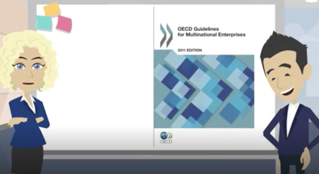 VID1EN OECD Guidelines- What are the OECD Guidelines